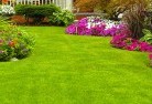 Central Plateaulawn-and-turf-35.jpg; ?>
